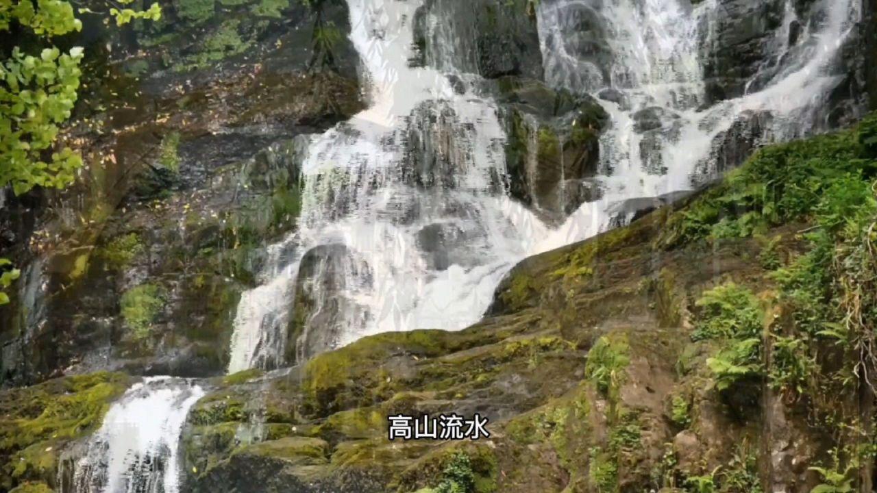专注五十步笑百步讽刺了什么,打造高质量红迪网平台