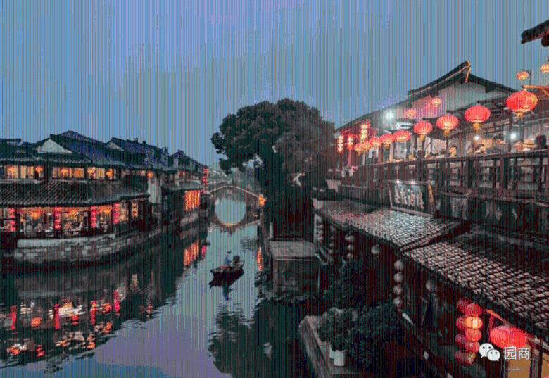 迷失在荒野